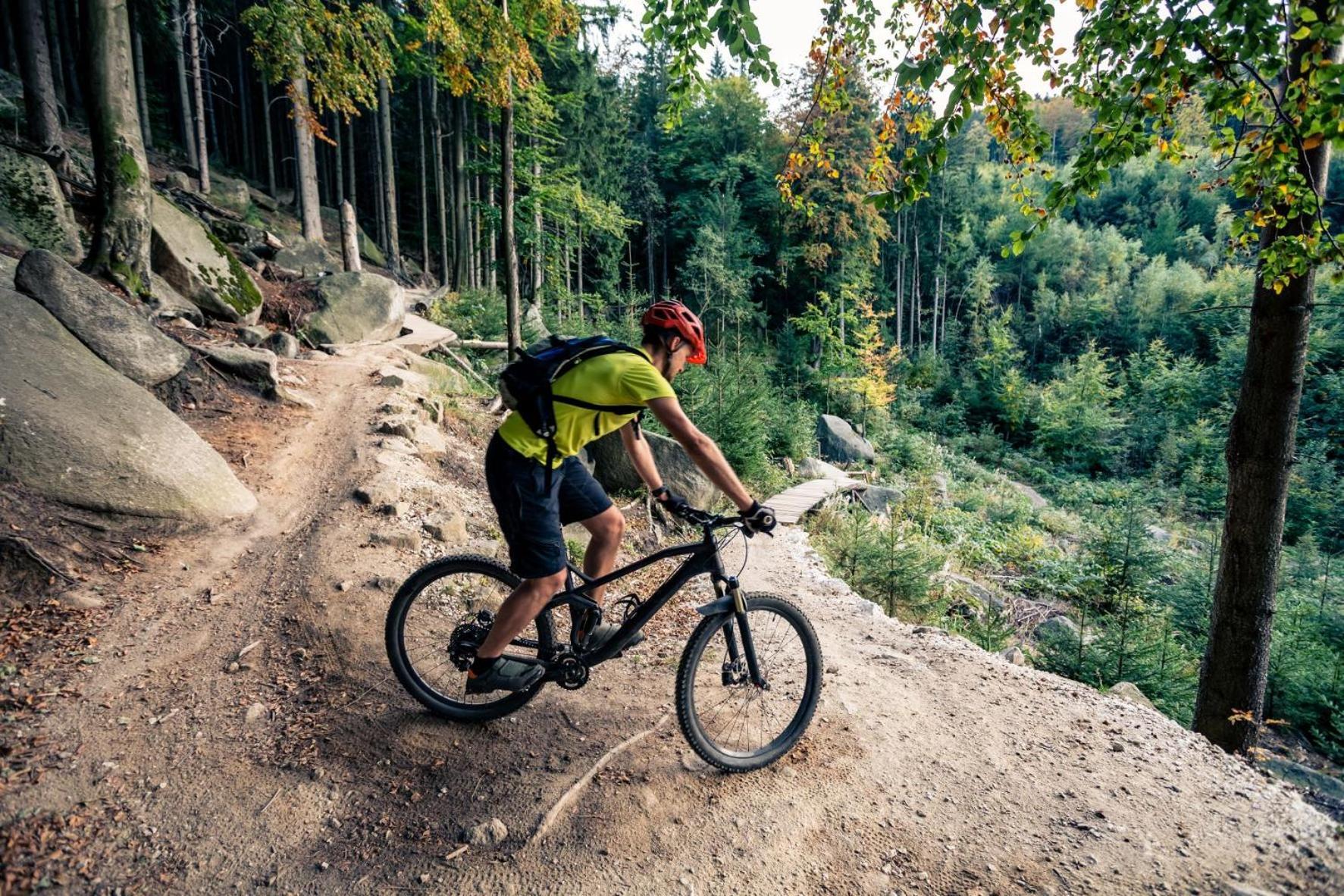 Elements Hotel&Spa Świeradów-Zdrój Εξωτερικό φωτογραφία A mountain biker riding a trail